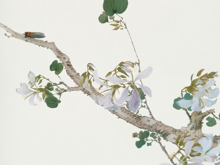 Zhuangzi – La puissance du non-agir