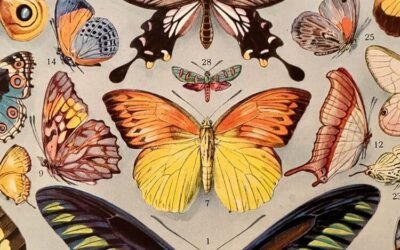 Guillaume d&rsquo;Ockham – Le singulier et l&rsquo;universel