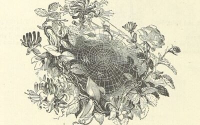 Montaigne – L’habileté des bêtes